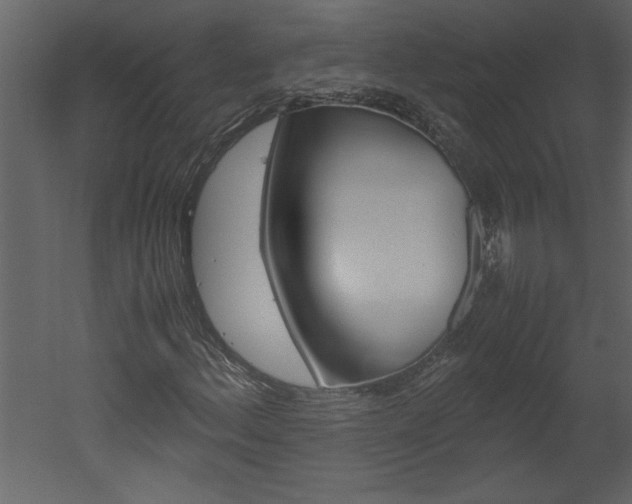 X0000052921156200507080753