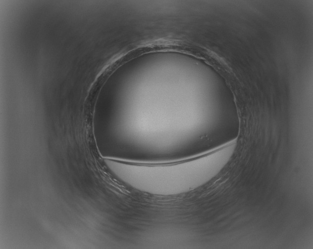 X0000052921160200507080753