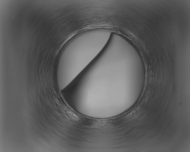 X0000052921162200507080753