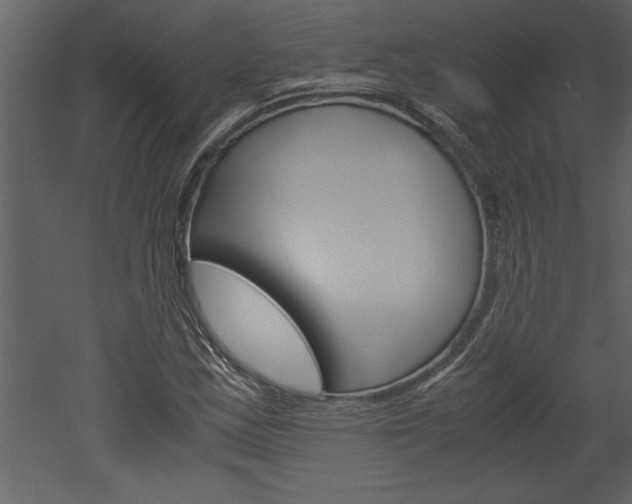 X0000052921163200507080753