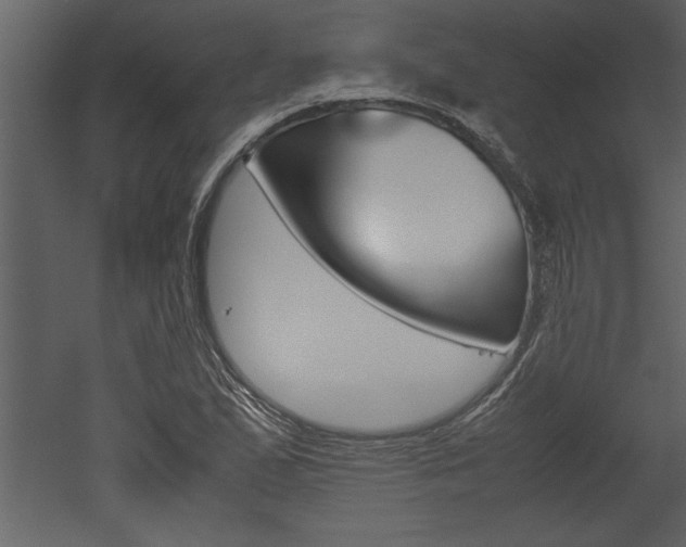 X0000052921167200507080753