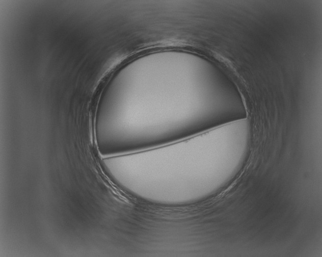 X0000052921171200507080753