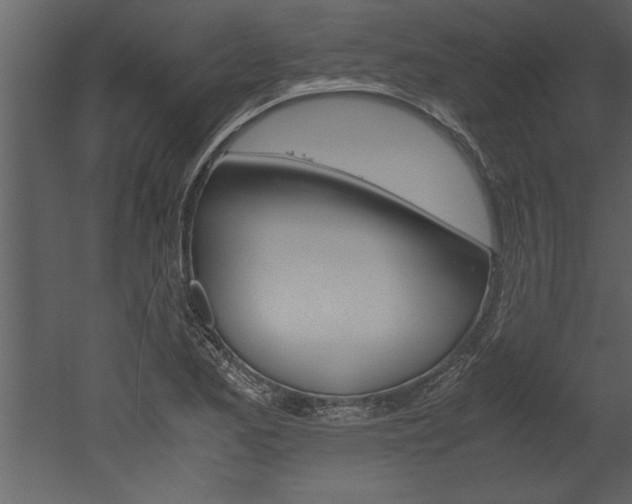 X0000052921173200507080753