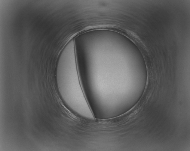 X0000052921177200507080753
