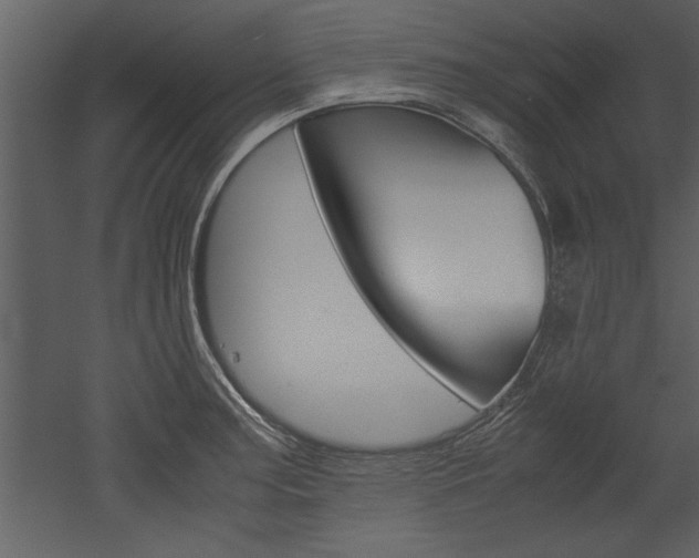 X0000052921187200507080752