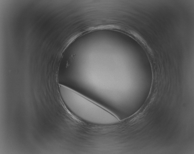X0000052921193200507080752