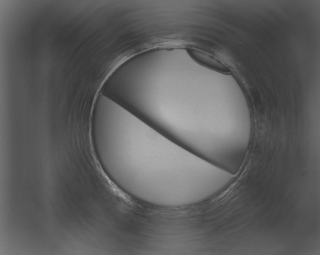 X0000052921194200507080752