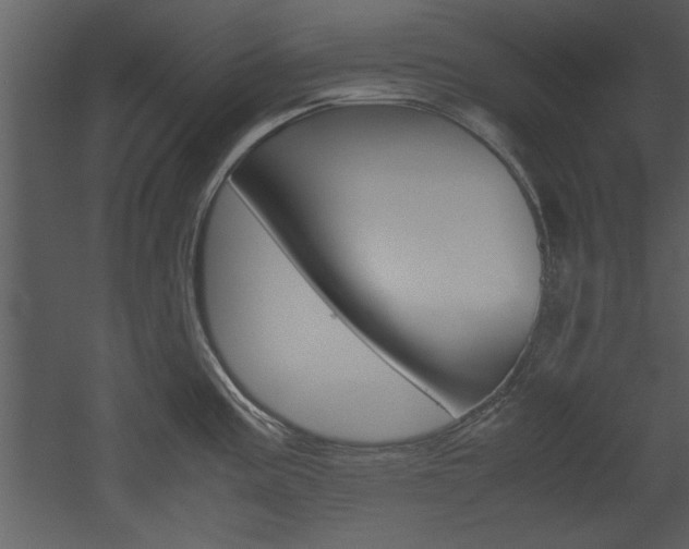 X0000052921195200507080752