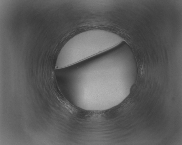 X0000052921204200507080751