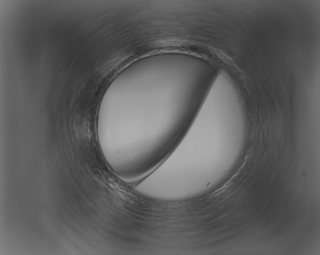 X0000052921209200507080752