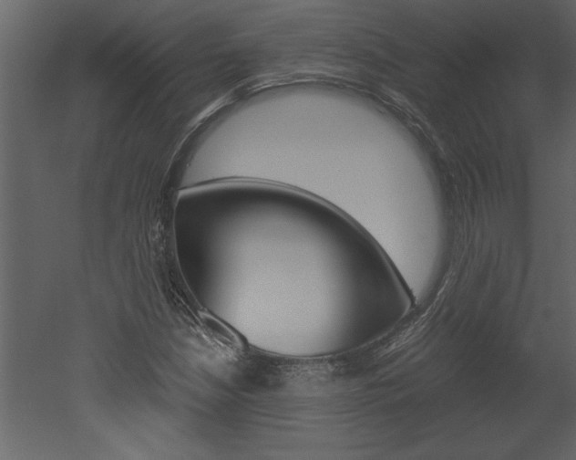 X0000052921210200507080752