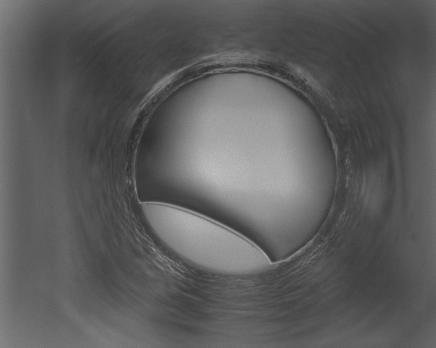 X0000052921213200507080752