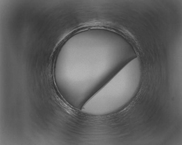 X0000052921216200507080752