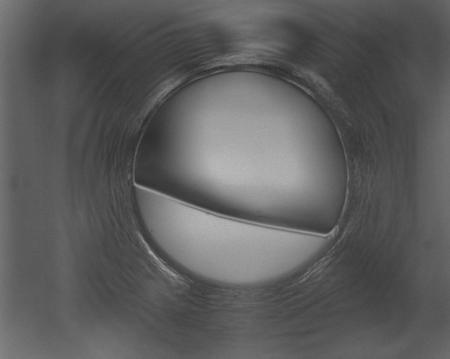 X0000052921225200507080752