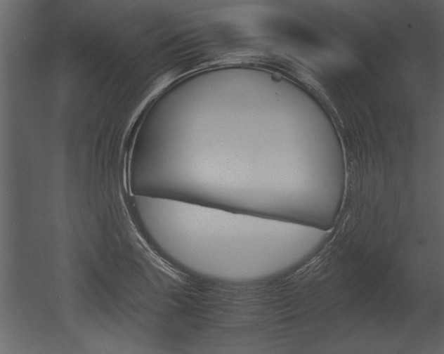 X0000052921227200507080752