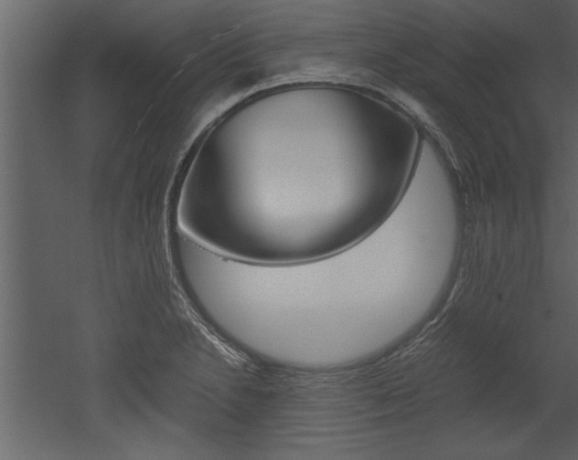 X0000052921230200507080752