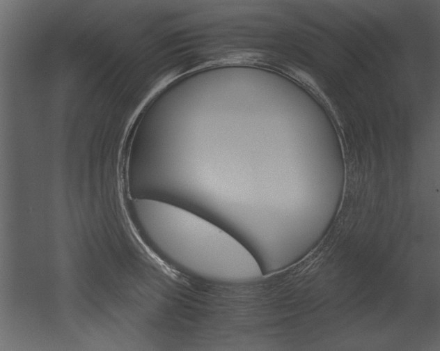 X0000052921235200507080752