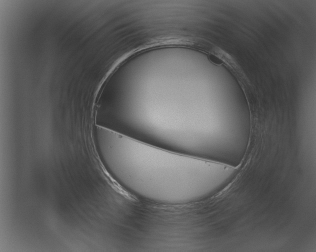 X0000052921236200507080752