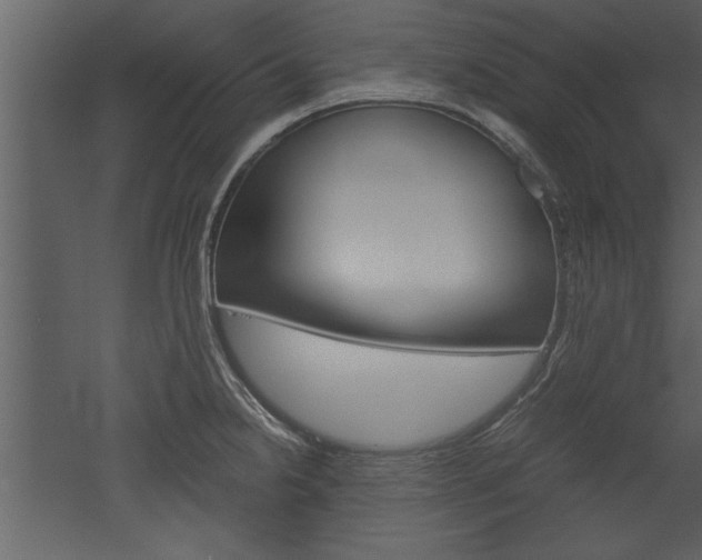 X0000052921238200507080752