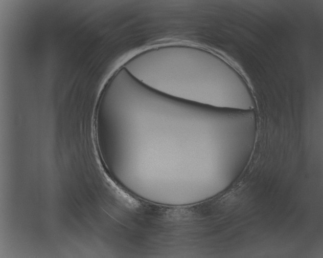 X0000052921239200507080752