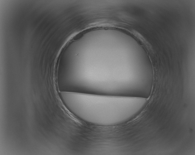 X0000052921240200507080752