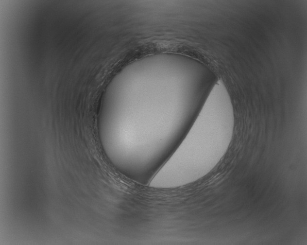 X0000052921249200507080751