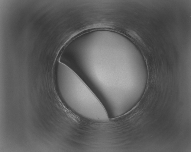 X0000052921268200507080751