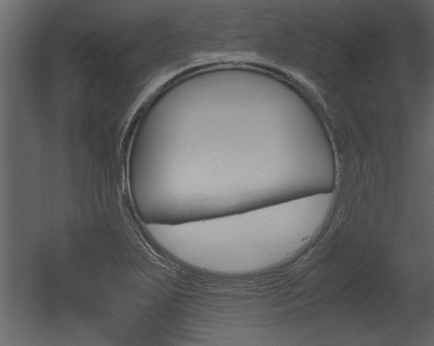 X0000052921271200507080751