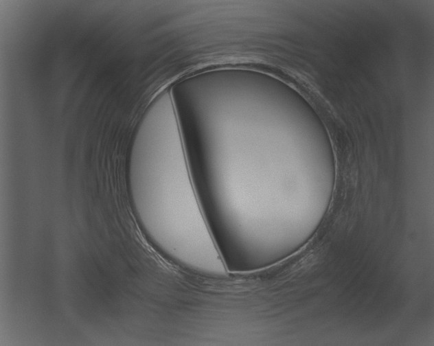 X0000052921273200507080751