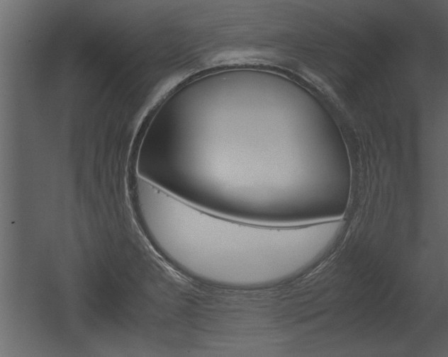 X0000052921277200507080751
