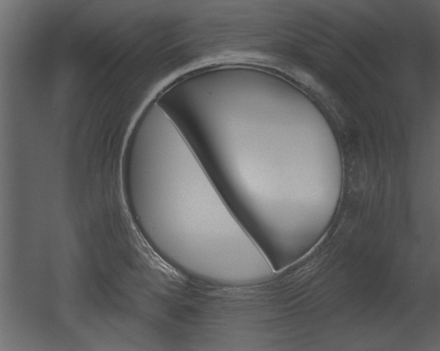 X0000052921280200507080751