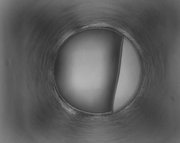 X0000052921281200507080751