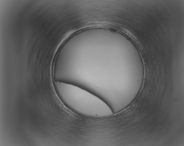 X0000052921283200507080751