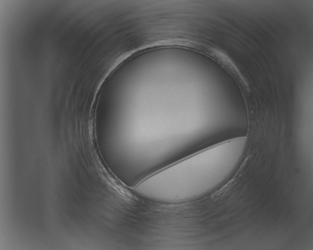X0000052921284200507080751
