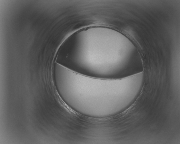 X0000052921292200507080751