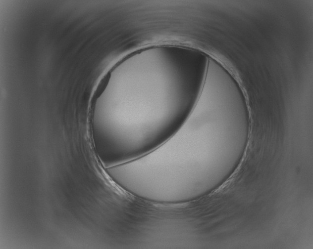 X0000052921296200507080751