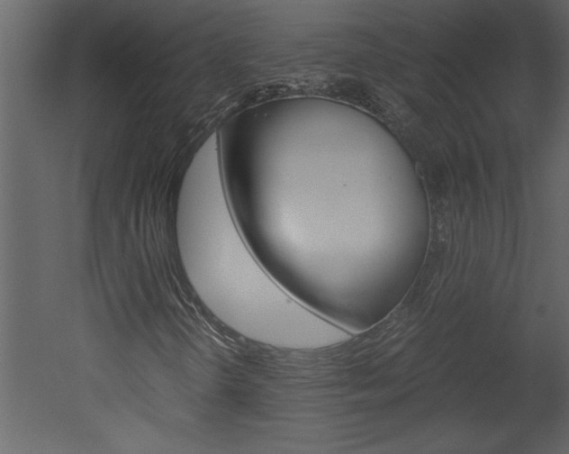 X0000052921298200507080750