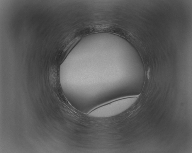 X0000052921299200507080750