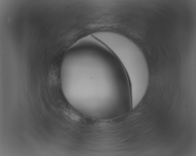 X0000052921300200507080750