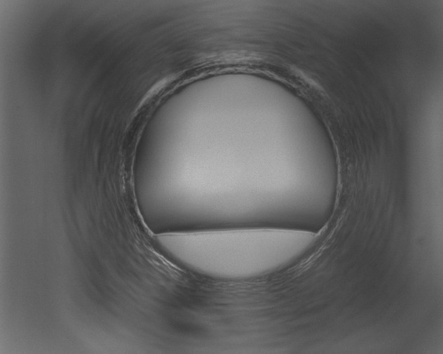 X0000052921306200507080750