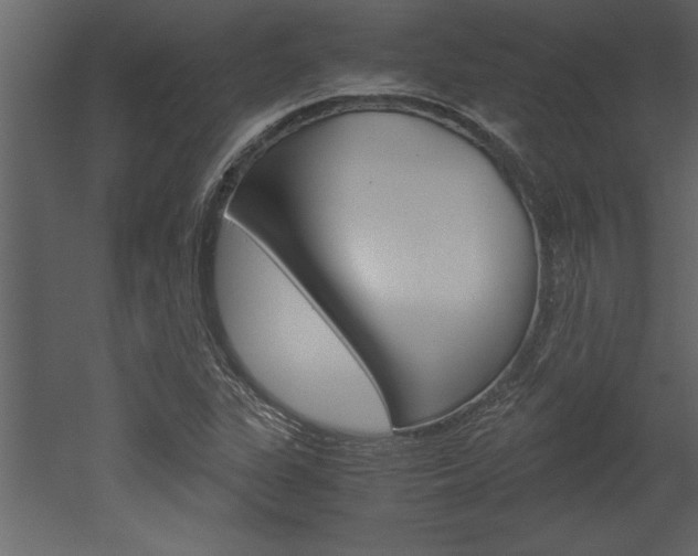 X0000052921311200507080750
