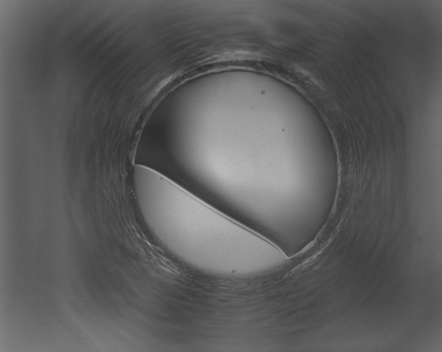 X0000052921313200507080750