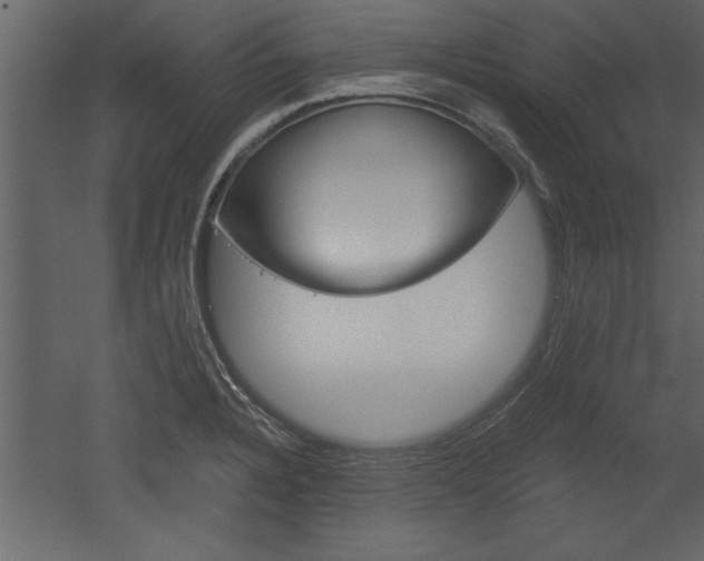 X0000052921328200507080750