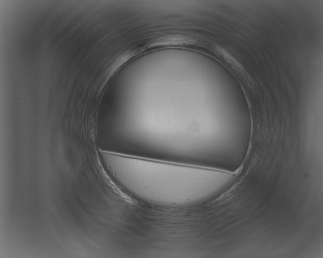 X0000052921329200507080750