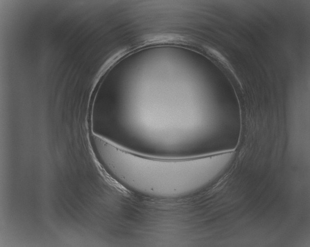 X0000052921330200507080750
