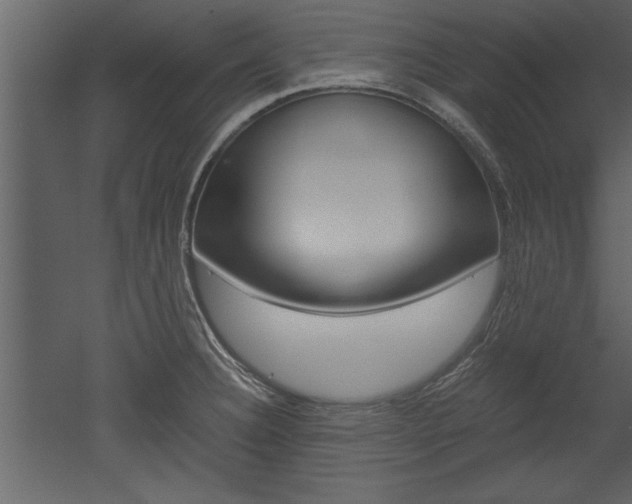 X0000052921332200507080750
