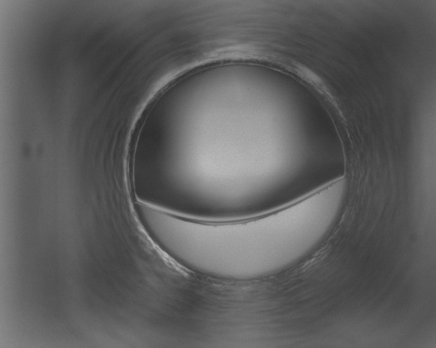 X0000052921334200507080750