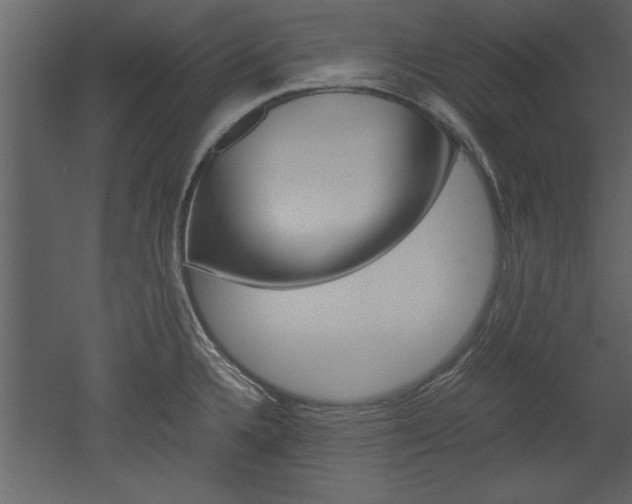 X0000052921336200507080750