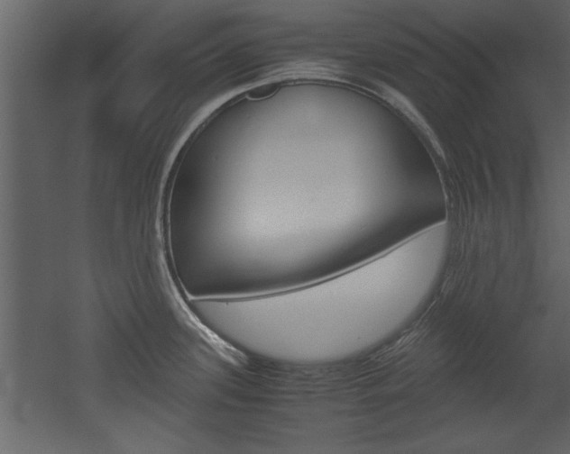 X0000052921339200507080751