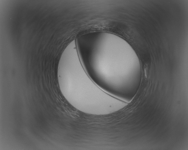 X0000052921347200507080750